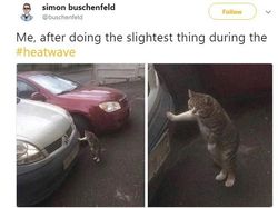 Meme Kocak Warga Inggris Tak Tahan Cuaca Panas