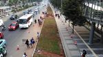 Wujud Lahan Rumput yang Halangi Halte di Jl Sudirman