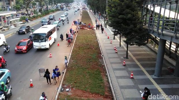 Lahan rumput yang pisahkan halte dengan lajur bus / 