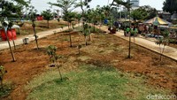 Pohon-pohon di RPTRA Kalijodo.