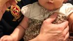 Sayang untuk Dimakan, Dim Sum Lucu dengan Bentuk Burung Hingga Kura-kura