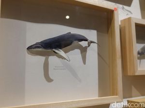 Sandy Lee Ajak Menyelami Dunia Bawah Laut di Dia.Lo.Gue Artspace