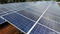 PLTS yang hari ini diresmikan itu, masuk ke dalam program Papua Terang, dan sudah menyasar 51 desa di pedalaman Papua. Biaya investasi pembangunan infrastruktur kelistrikan di Enem ini senilai Rp 8,72 miliar.