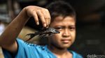Sungai Kotor Lahan Bermain Kesukaan Anak-anak di Pinggiran Kota Jakarta