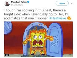 Meme Kocak Warga Inggris Tak Tahan Cuaca Panas