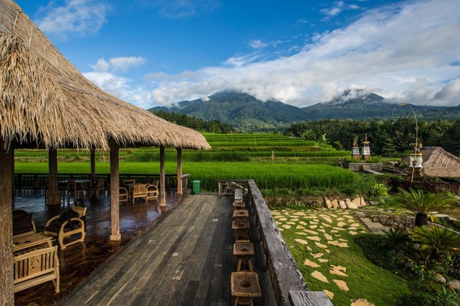 Keren! 6 Restoran Ini Suguhkan Pemandangan Sawah hingga Samudra