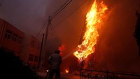 Puluhan rumah dan infrastruktur lainnya hancur dilahap api. Korban jiwa pun berjatuhan. Diperkirakan 20 orang tewas dan ratusan warga terluka akibat kebakaran hebat tersebut. Costal Baltas/Reuters.