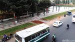 Wujud Lahan Rumput yang Halangi Halte di Jl Sudirman