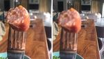 Bikin Gemas! Begini Tingkah Anjing yang Ngiler Minta Makan