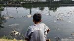 Sungai Kotor Lahan Bermain Kesukaan Anak-anak di Pinggiran Kota Jakarta