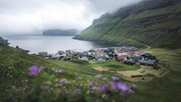 Bentangan alam yang subur akibat aktivitas gunung berapi jutaan tahun lalu membuat pulau ini kaya akan flora dan fauna. Tentu pemandangan alamnya sangat cantik bukan? (Visit Faroe Islands/Facebook) 