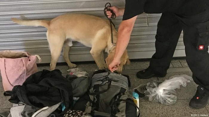 Di Bandara Jerman Ada Anjing Pelacak yang Punya Tugas Khusus