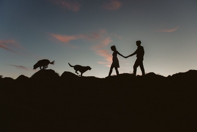 Siluet dari pasangan dan hewan kesayangan ini begitu dramatis namun juga terasa hangat. Foto: Dok. Junebug Weddings/Bethany Howarth of Bethany Howarth Photography