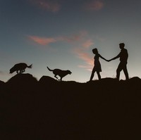 Siluet dari pasangan dan hewan kesayangan ini begitu dramatis namun juga terasa hangat. Foto: Dok. Junebug Weddings/Bethany Howarth of Bethany Howarth Photography