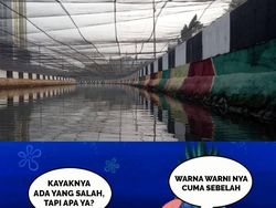 Heboh Halte di Sudirman Terhalang Rumput