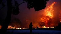 Kebakaran hutan semakin meluas tak terkendali di berbagai wilayah Yunani pada Senin hingga menyebabkan sejumlah rumah hancur, mengacaukan jalur transportasi utama, serta memaksa para warga sekitar mengungsi. Costal Baltas/Reuters.