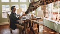 Sedangkan momen dia sarapann bersama jerapah ini diabadikannya saat berlibur ke Kenya. Tepanya di Giraffe Manor, Nairobi, Kenya. Lucu ya jerapahnya? (iamgalla/Instagram)