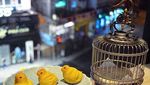 Sayang untuk Dimakan, Dim Sum Lucu dengan Bentuk Burung Hingga Kura-kura