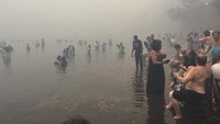 Warga bertahan di tepi pantai demi mendinginkan diri. Korban jiwa dikhawatirkan akan bertambah seiring para petugas penyelamat masih melakukan pencarian warga yang terperangkap di rumah-rumah atau mobil-mobil yang terbakar. Foto: KALOGERIKOS NIKOS/via REUTERS