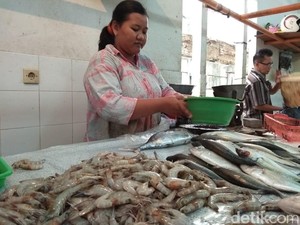 Susi Bilang Lebih Murah dari Ayam, Berapa Harga Ikan di Pasar?