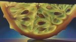 Cantiknya Lukisan Irisan Lemon hingga Semangka Mengilap Bagai Kaca