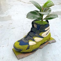 Sneakers bekas yang sudah usang ternyata nggak harus berakhir di tempat sampah. Tapi bisa difungsikan sebagai pot tanaman. Hasilnya pun sangat unik. Foto: Instagram/@shoetree_2016