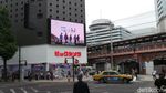 Melihat Pelican Crossing dari Jakarta, Tokyo hingga Seoul