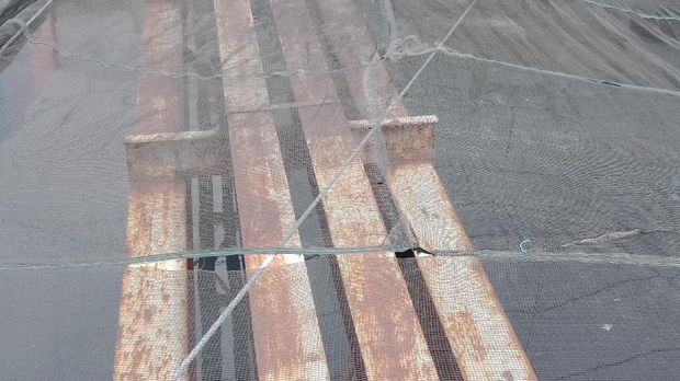 Waring di Kali Item robek dan bersampah