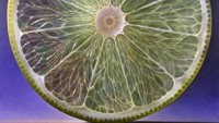 Yang ini juga lukisan buah lemon. Pendaran warna ungu kehijauannya terlihat sangat cantik. Foto: Dennis Wojtkiewicz