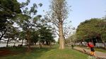 Bermain dan Bersantai di Taman Waduk Ria Rio