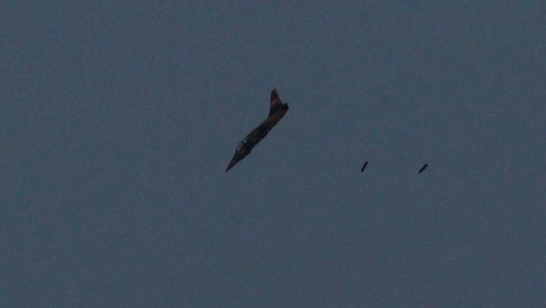 A warplane carries out a bombing run above Syria near the Israeli-Syrian border as it is seen from the Israeli-occupied Golan Heights , Israel July 24, 2018. REUTERS/Ammar Awad
