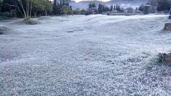 Foto: Dieng Bagaikan Musim Dingin di Eropa