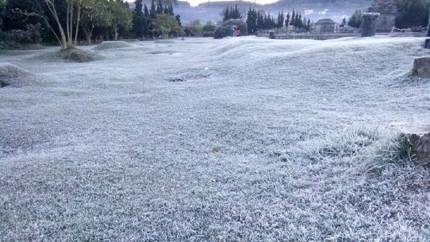 Kawasan Candi Arjuna yang didominasi warna putih