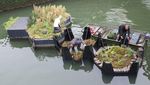 Foto: Taman Terapung dari Sampah Daur Ulang