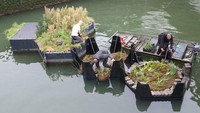 Taman ini terdiri dari sejumlah blok segi enam yang bisa menjadi lahan terapung untuk ditanami tumbuhan hijau (Recycled Park/Facebook)