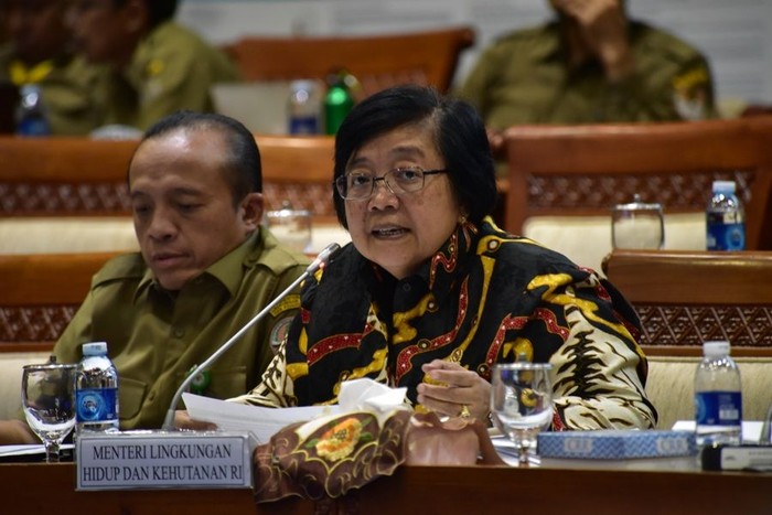 Ini Langkah KLHK Atasi Masalah Lingkungan Freeport