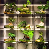 Nike Air Max, nike Air Foamposite One dan Nike Air Jordan 1 adalah beberapa tipe sepatu vintage yang digunakan dalam proyek seni Kosuke. Foto: Instagram/@shoetree_2016