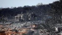 Setidaknya 74 orang tewas dan 187 orang lainnya luka-luka akibat kebakaran hutan di Yunani yang mulai terjadi pada Senin (23/7) waktu setempat. Foto: REUTERS/Alkis Konstantinidis