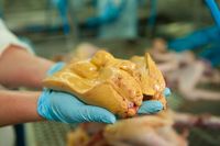 Dinilai Kejam, Pengunjuk Rasa Minta Restoran Hapus Foie Gras dari Daftar Menu