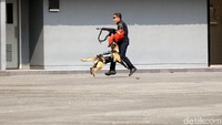 Para teroris berhasil dilumpuhkan.