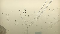  Padahal bulan Juli di Siberia masih masuk dalam musim semi. 