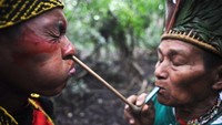 Beberapa suku-suku di Amazon memang menolak dari dunia luar alias mengisolasi diri. Mereka hidup dengan caranya sendiri dan begitu mempercayai ajaran leluhurnya (Reuters)