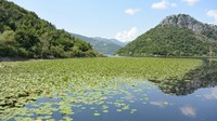 Namanya Danau Skadar, di Albania. Ini merupakan danau terbesar di Eropa Selatan.  (Chris Dwyer/CNN Travel)