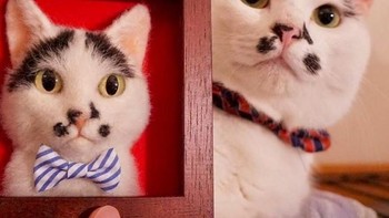 Ada dua kucing sungguhan? (Foto: Instagram/Wakuneco)