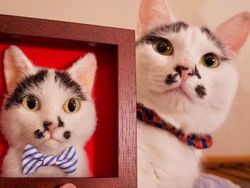 Keren! Seniman Jepang Ini Bisa Sulap Benang Wol Jadi Kucing