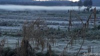 Sehari sebelumnya, Rabu (25/7), suhu di Dieng lebih dingin lagi. Kemarin suhu di dataran tinggi itu mencapai minus 5 derajat Celcius. (Foto: Uje Hartono/detikcom)