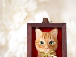 Keren! Seniman Jepang Ini Bisa Sulap Benang Wol Jadi Kucing