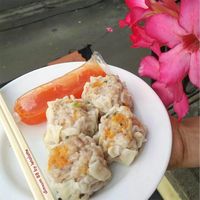 frozen dim sum online california frozen dim sum online california