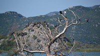 Kawasan ini rumah bagi satwa liar dan beragam spesies burung. (Chris Dwyer/CNN Travel)