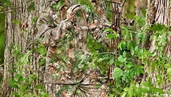 Pemburu ini benar-benar menyatu dengan warna pohon. (Foto: wideopenspaces)